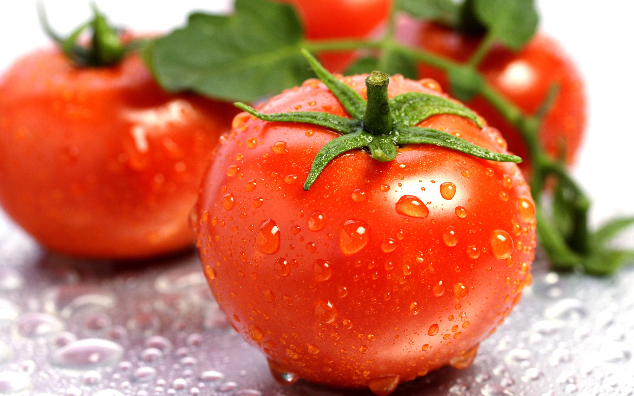 Pomidory, Warzywa 008
