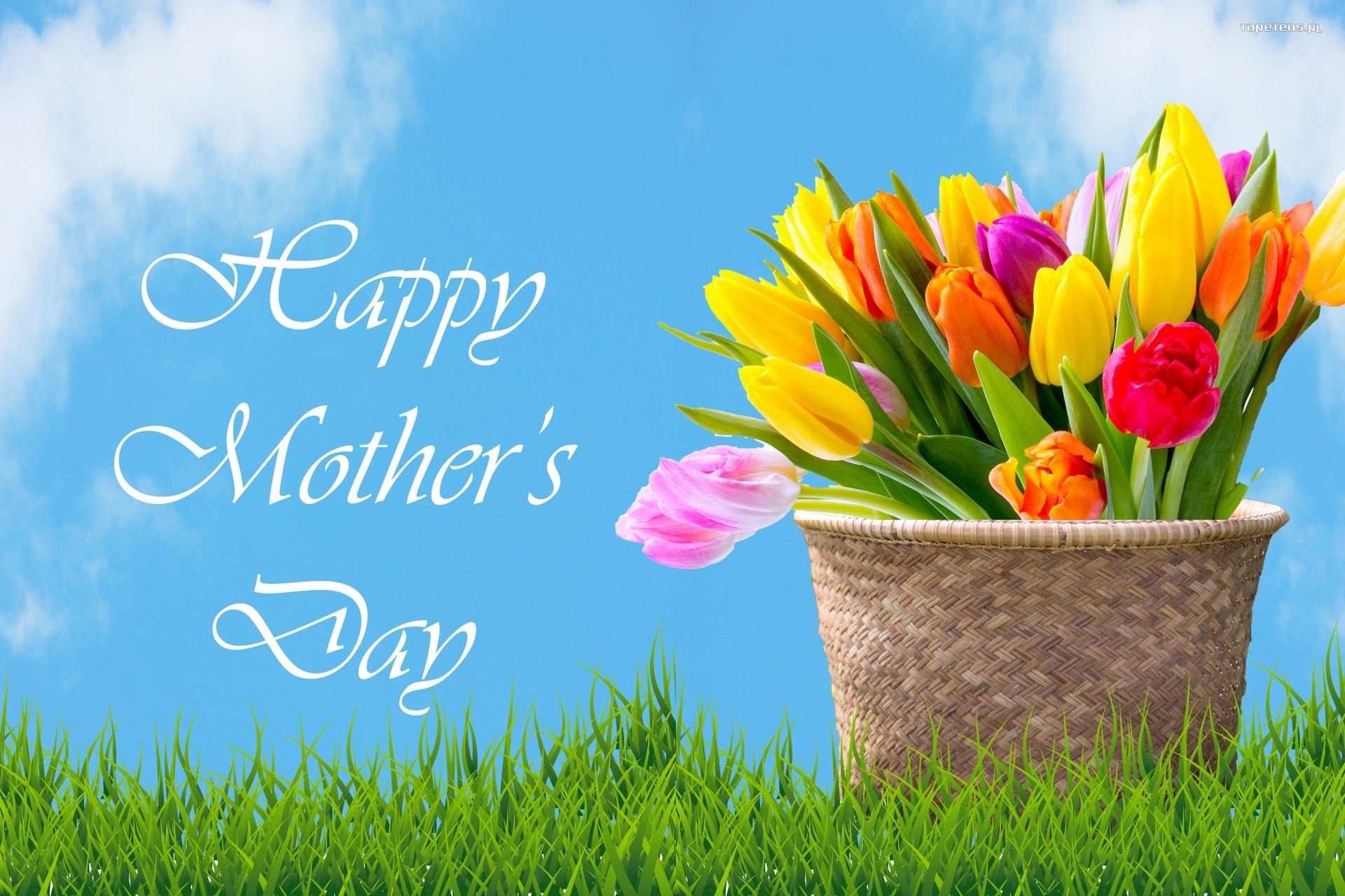 Dzien Matki 053 Kosz, Kwiaty, Tulipany, Happy Mothers Day