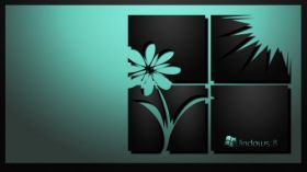 Windows 8 003 Obraz, Logo, Kwiat