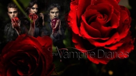 Pamietniki wampirow, The Vampire Diaries 003