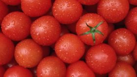 Pomidory, Warzywa 003