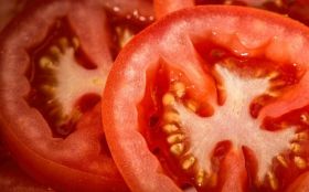 Pomidory, Warzywa 005