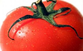 Pomidory, Warzywa 009