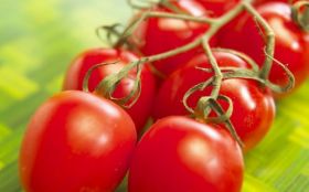 Pomidory, Warzywa 023