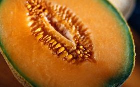 Melon, Owoce 007