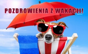 Pozdrowienia z wakacji, Pies, Lezak, Okulary, Parasol