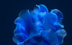 Windows 11 020 Niebieski Kwiat