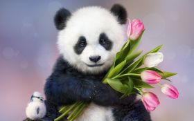 Panda 019 Tulipany