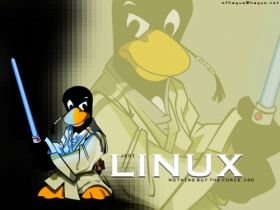 Linux 008