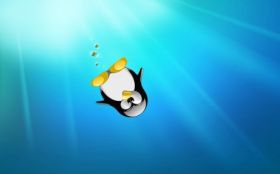 Linux 094 Pingwin