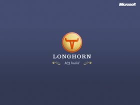 Longhorn 01