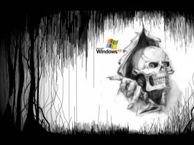 Windows XP 21
