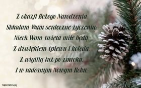 Swieta, Boze Narodzenie, Christmas 2179 Swierk, Szyszki, Zyczenia Swiateczne, Z okazji Bozego Narodzenia ...