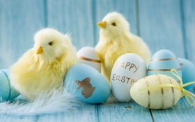 Wielkanoc 758 Kurczaki, Pisanki, Happy Easter