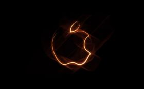 Apple 33