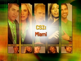 CSI Miami 08