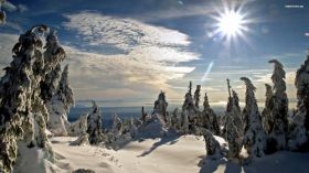 Zima, Winter 208 Choinki, Snieg, Niebo, Slonce