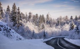 Zima, Winter 222 Chorwacja, Droga, Snieg, Drzewa