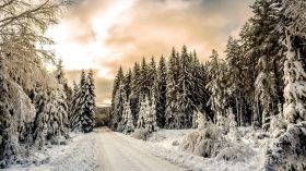 Zima, Winter 255 Droga, Drzewa, Snieg