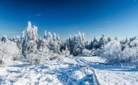 Zima, Winter 5120x3200 010 Snieg, Drzewa, Droga