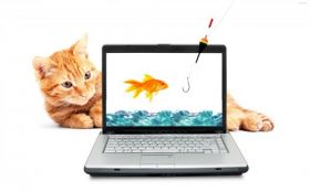 Laptop 043 Kot, Zlota Rybka, Humor