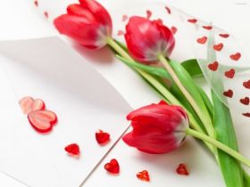 Dzien Kobiet 117 Czerwone Tulipany