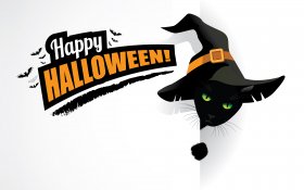 Halloween 250 Kot, Kapelusz, Nietoperze, Happy Halloween