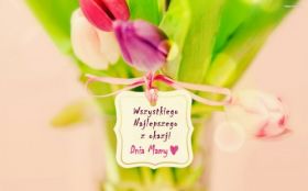 Dzien Matki 069 Kwiaty, Tulipany, Karteczka, Zyczenia