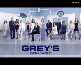 Chirurdzy, Greys Anatomy 002